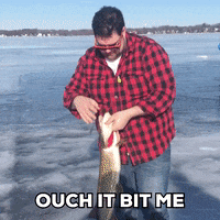 Northern Pike GIFs - Find & Share on GIPHY