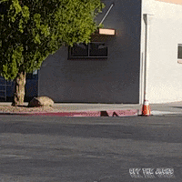 classic car GIF by Off The Jacks