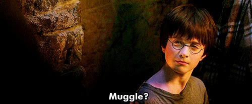 Muggle meme gif