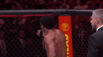 Sport Cage GIF by UFC