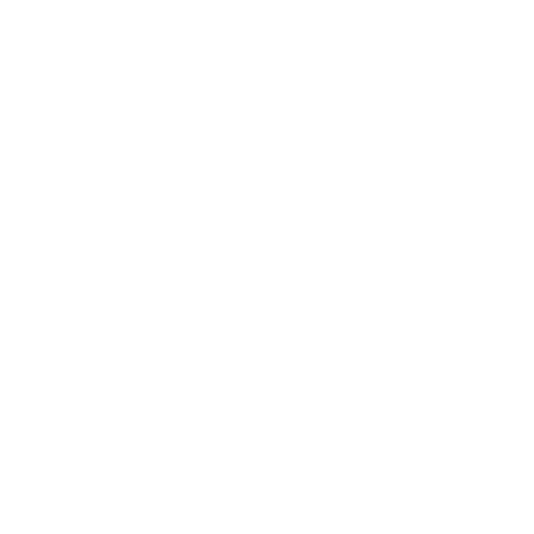 Nature Play QLD Sticker