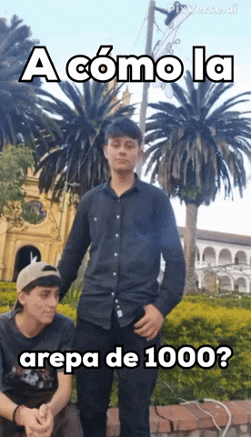 Saavedra GIF