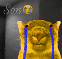 Can I Get The Wombat GIF