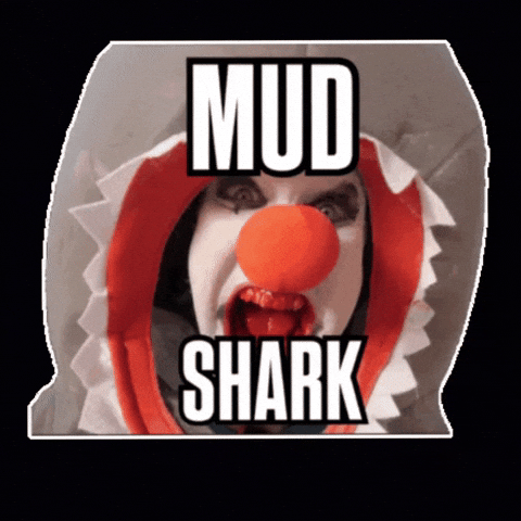 Clown Shark GIF