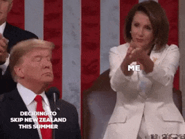 Sarcastic State Of The Union GIF by KiwiExperience