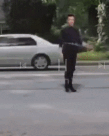 giphy.gif?cid=5e21488673faace7d3525a8d68f090eead05a8a2ec87a880&rid=giphy.gif&ct=g