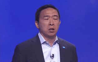 Mad Andrew Yang GIF by GIPHY News