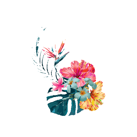 SXM FESTIVAL Sticker