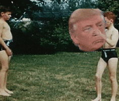 Trump Bounce GIF