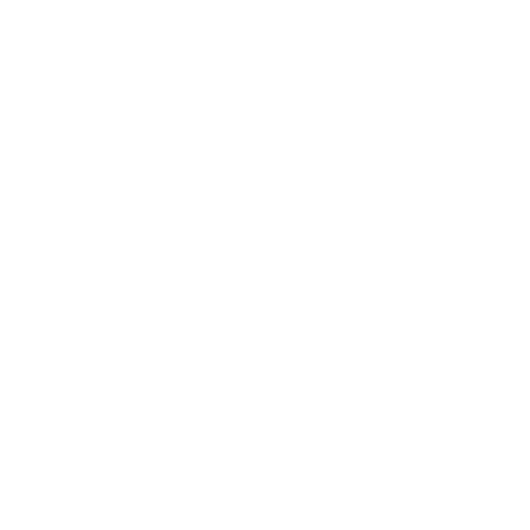 Can-Am On-Road Sticker
