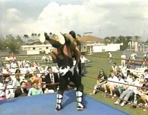 Wwe GIF