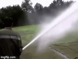 giphy.gif?cid=790b76115d39a7757375654e45