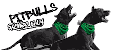 Am Pitbulls Sticker