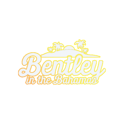 Bentley in the Bahamas GIFs on GIPHY - Be Animated