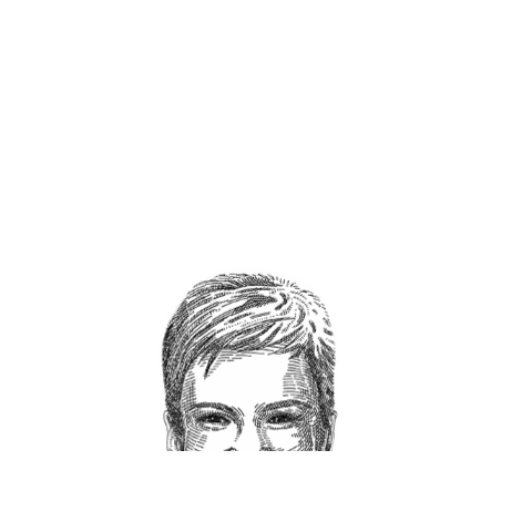 Tamsen Webster Sticker