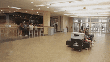 texas am library GIF by The College of Education & Human Development at Texas A&M University