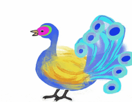 kelly_lopez_art birds peacock bluebird GIF