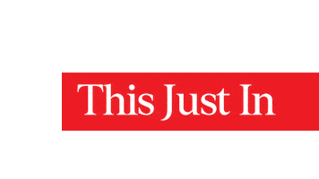 Justin Sticker by Elders Real Estate