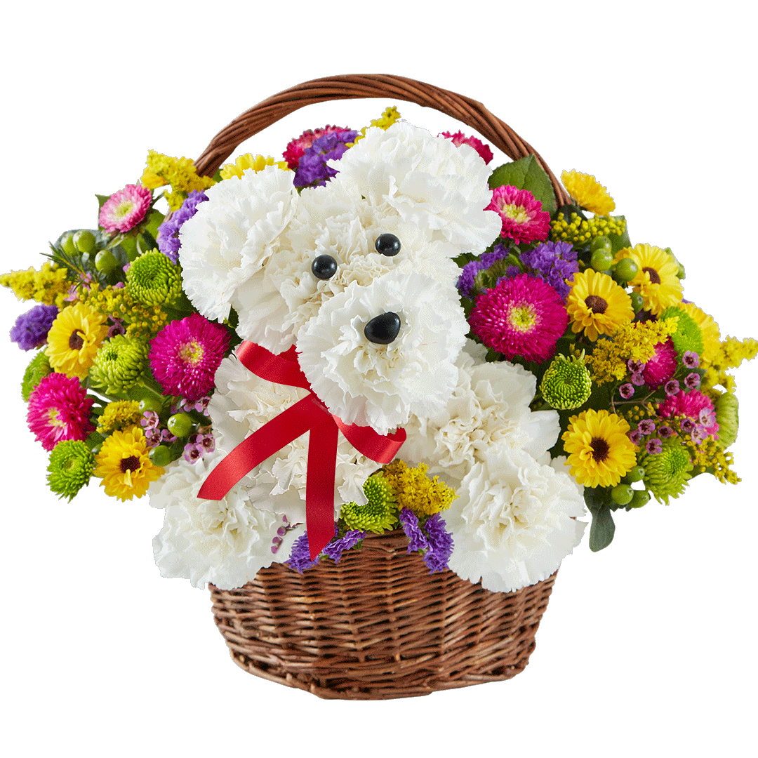 1800 flowers teddy bear