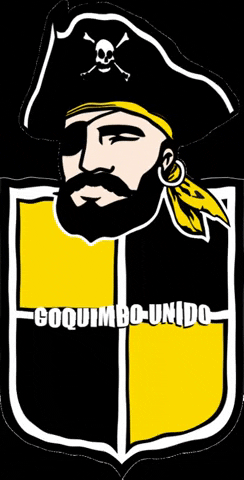 Aurinegro Ahp GIF by coquimbounido