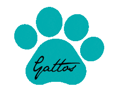Cats Catslovers Sticker by Gattos CV
