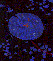 Illustration GIF