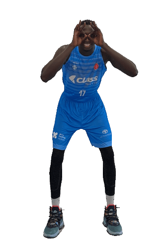 Basketball Ibiza Sticker by Basquet Sant Antoni