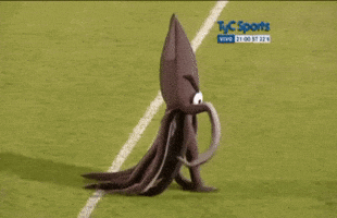 Platense GIF
