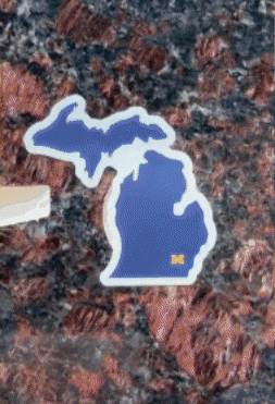 Go Blue Ann Arbor GIF by University of Michigan