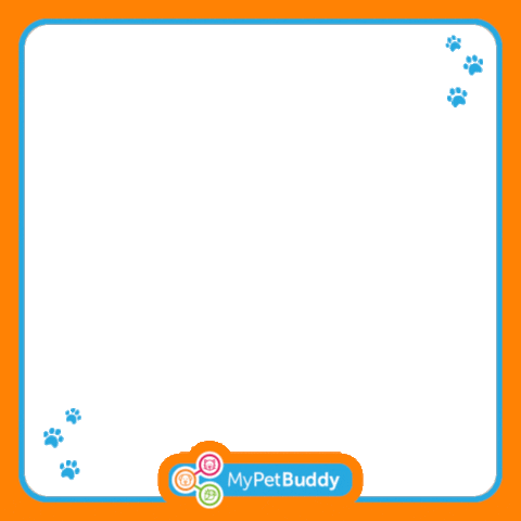 New Member Post Sticker by MyPetBuddy