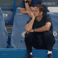 Lets Go Yes GIF by Chelsea FC