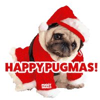 Puggy Smalls GIFs - Find & Share on GIPHY