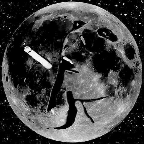 Gifhackfeministas GIF