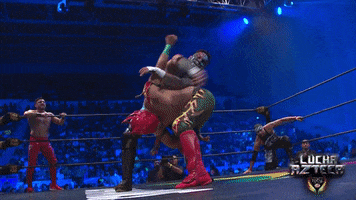 GIF by Lucha Libre AAA