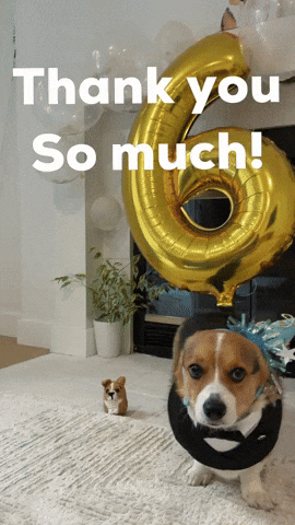 Thank You So Much Dog GIF