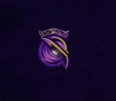 S2G GIF