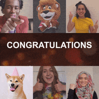 Clearing Results Day GIF by De Montfort University