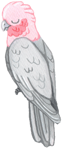 Bird Sticker