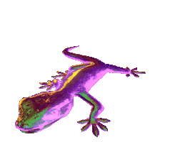 3D Lizard Sticker by ghostdad