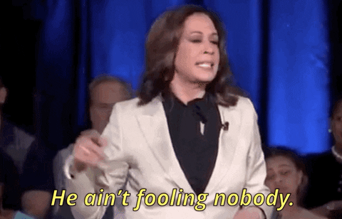Kamala Harris Msnbc GIF