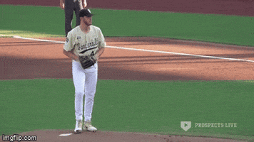 Baseball GIF