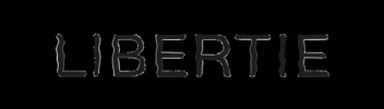 boutiquelibertie GIF