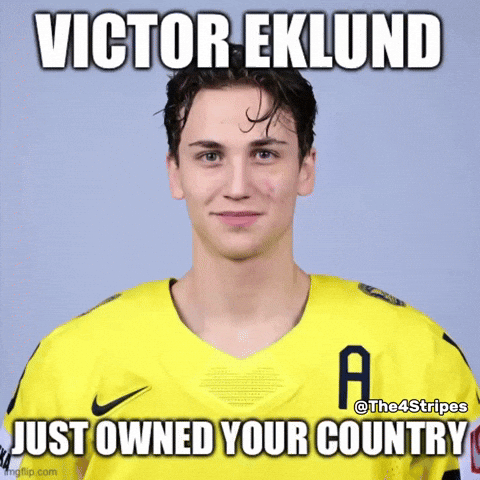Sweden Victor GIF
