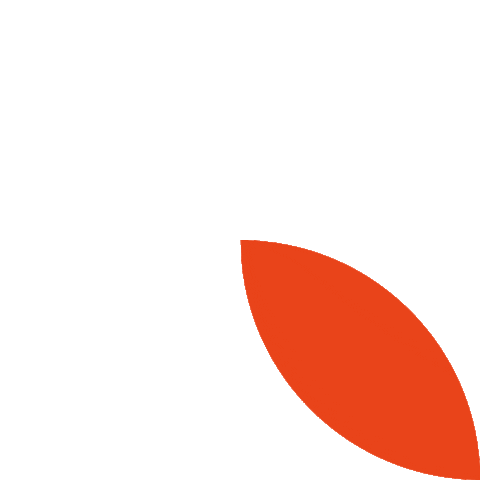 System Akvile Sticker