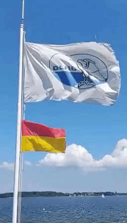 DLRG Stralsund GIF