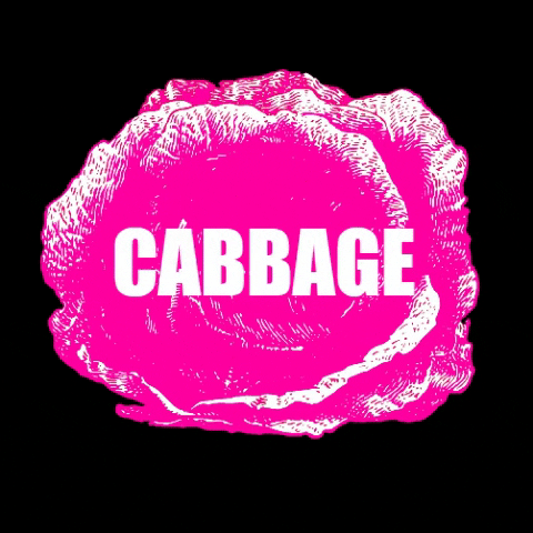 Cabbage Patch Bakery GIF