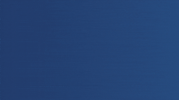 200.gif?cid=fc005b08ca0fad1f6548a4c055bfb99bf08ab24e46a410a1&rid=200.gif&ct=g
