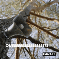 Mister V Irl GIF by CANAL+