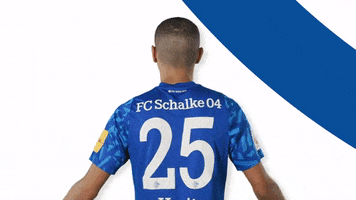 Amine Harit GIF by FC Schalke 04