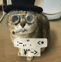 Mei Mei Cat GIF
